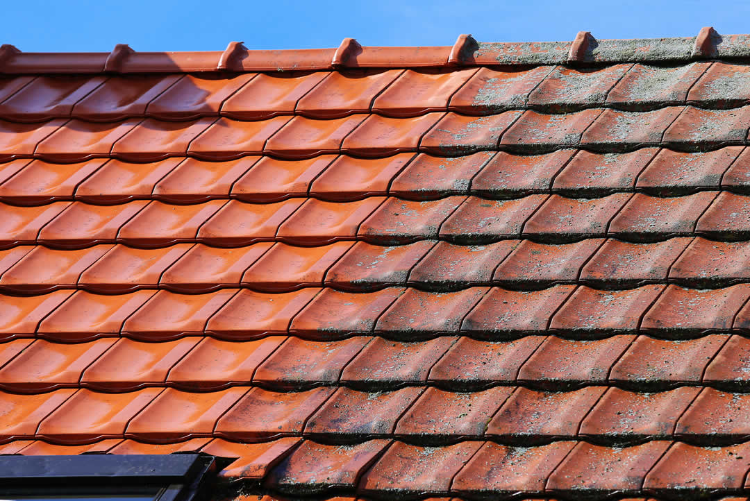 Roof Cleaning Services in Orlando